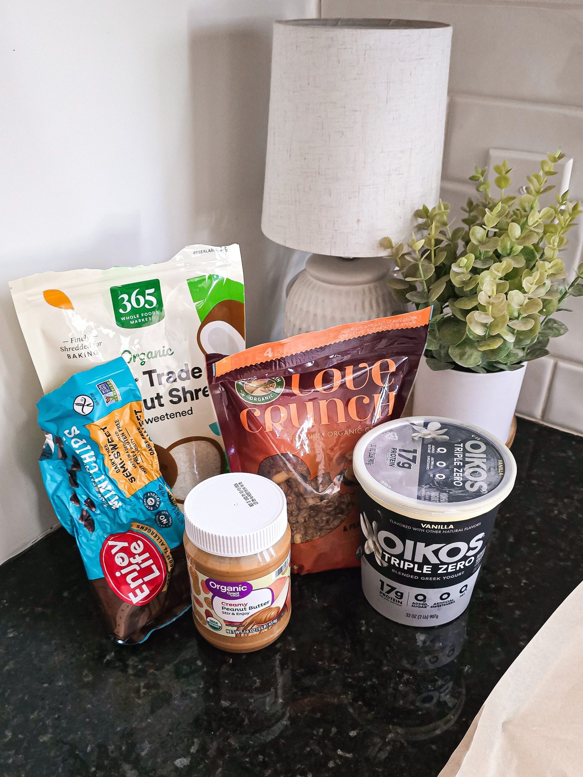 chocolate chips, coconut, granola, peanut butter, and greek yogurt on counter
